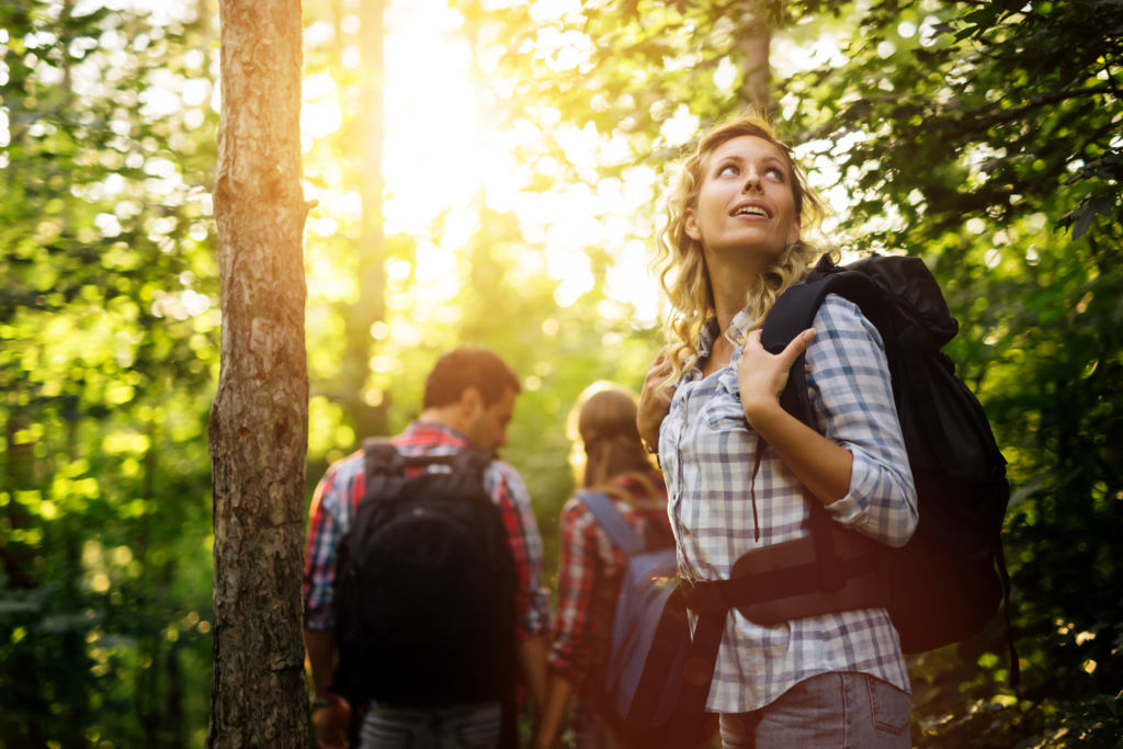 Wander im Wald